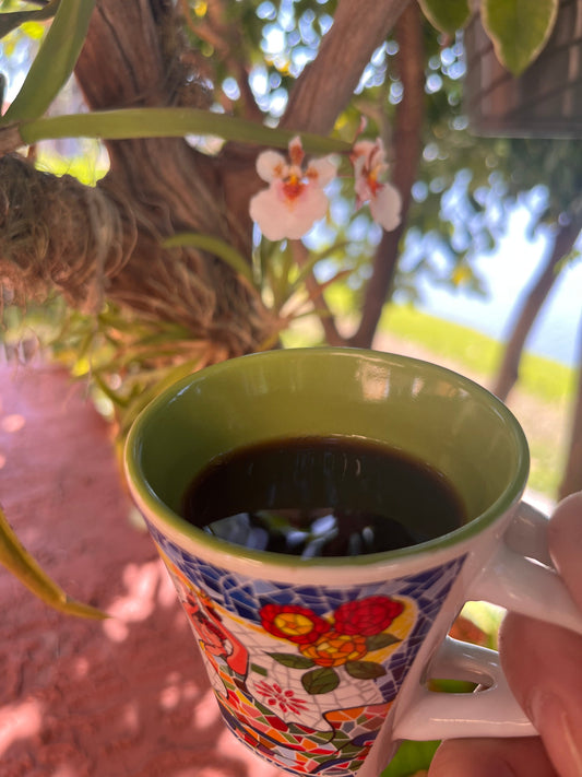 The Art of the Coffee Pause: Why the Best Conversations Happen Over Coffee